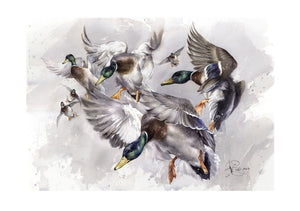 "Wild Duck Flight"