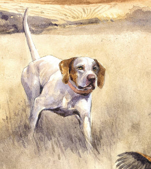 "Pointer Hunting"