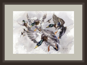 "Wild Duck Flight"