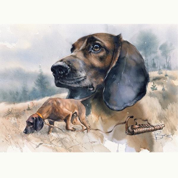"Bavarian Hound. Blood Trail"