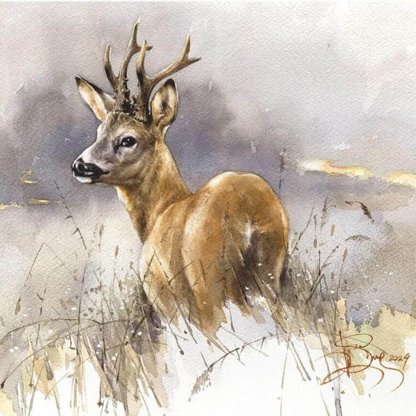 "Roe Deer. At dawn"