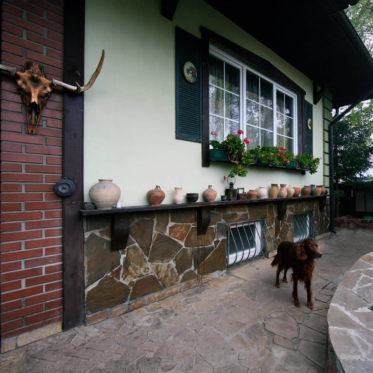 Siurha Art Valery house with dog