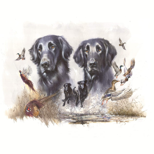 "Flatcoated Retrievers. Waterfowl hunting "