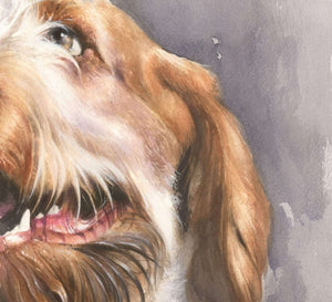 "Smile of Spinone" Author's signed print