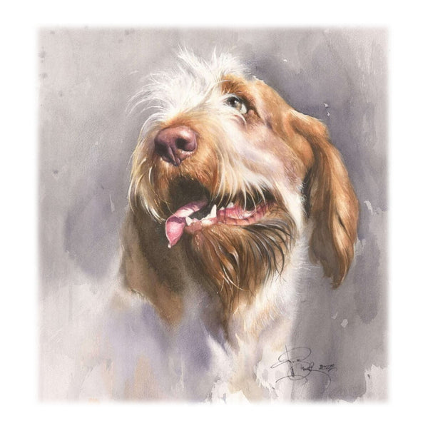 "Smile of Spinone" Author's signed print
