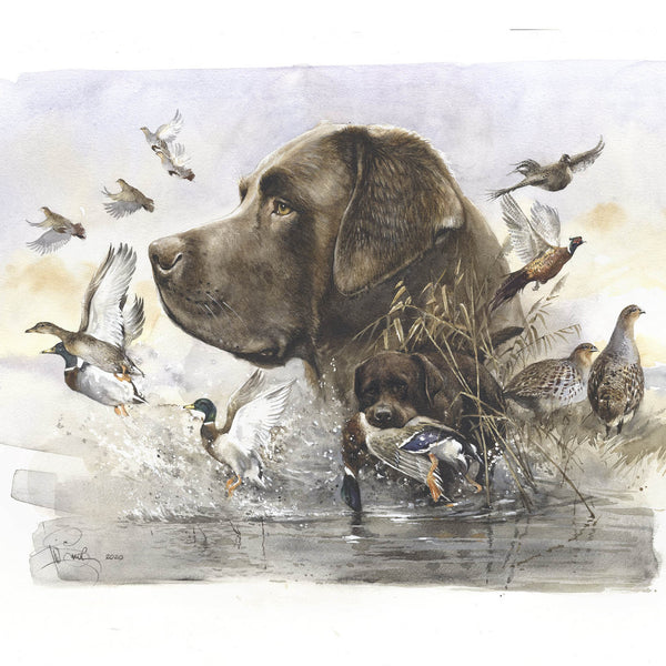 "Bird Hunting"