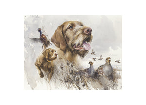 "Catch happiness by the tail. Wirehaired Vizsla."