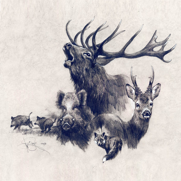 "Classical hunting"
