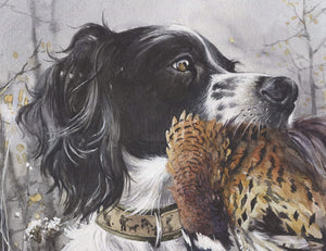 "English Setter with Pheasant. Winter morning."