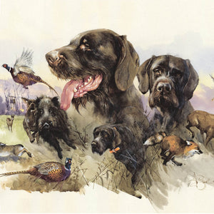 "German Wirehaired Pointer. Hunting Memories"