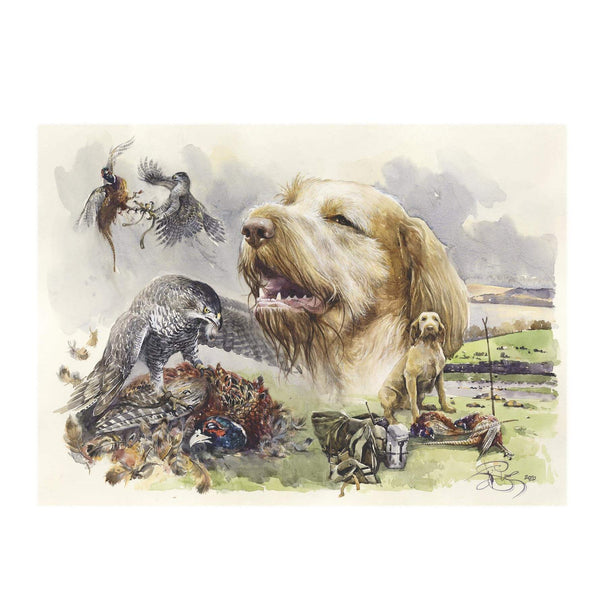 "Human, Spinone, Falcon"