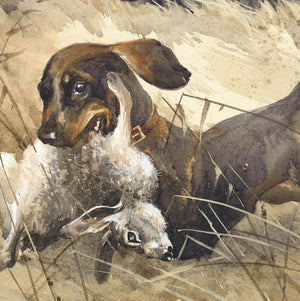 "Hunting with Dachshunds in Hazelglade"
