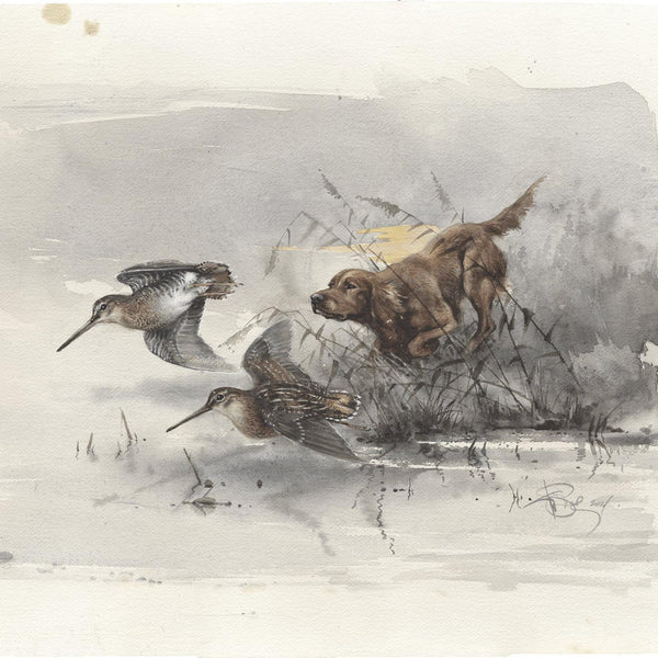 "Irish Setter and Snipe"