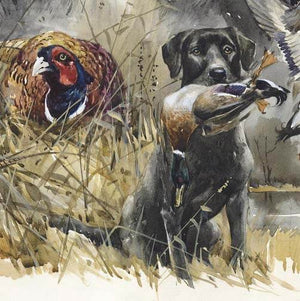 "Labrador hunting"