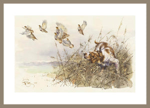 "Partridge Hunting"