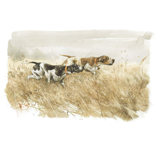 "Pointer.  In field"