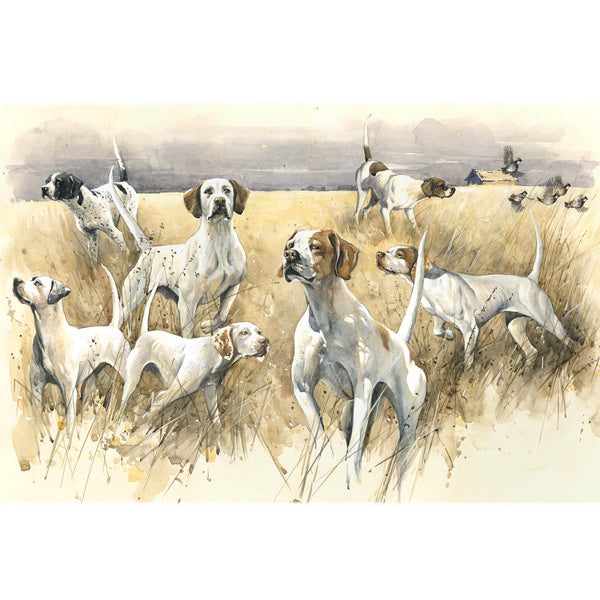 "Pointers. Field Trial."