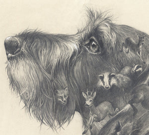 "Wirehaired Dachshund. Oh, my dreams..."