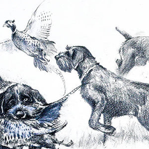 "Hunting with German Wirehaired Pointer"