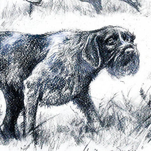 "Hunting with German Wirehaired Pointer"