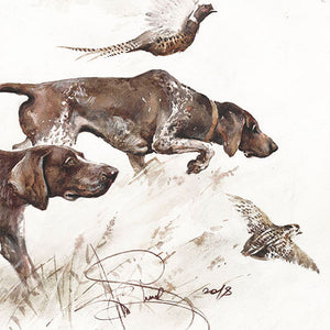 "Hunting with German Shorthaired Pointer"