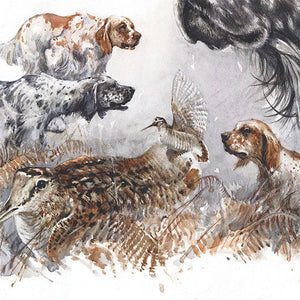 "Hunting with the English Setter"