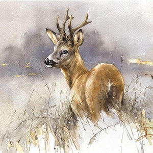 Wild Animals