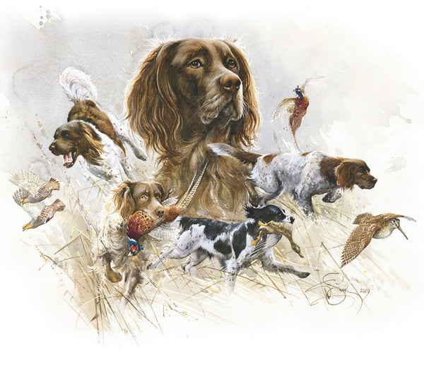 "Munsterlanders. My hunting friends" author's signed print