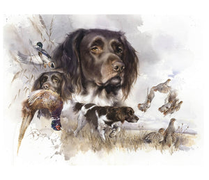 "Munsterlander Bird Dog" author's signed print