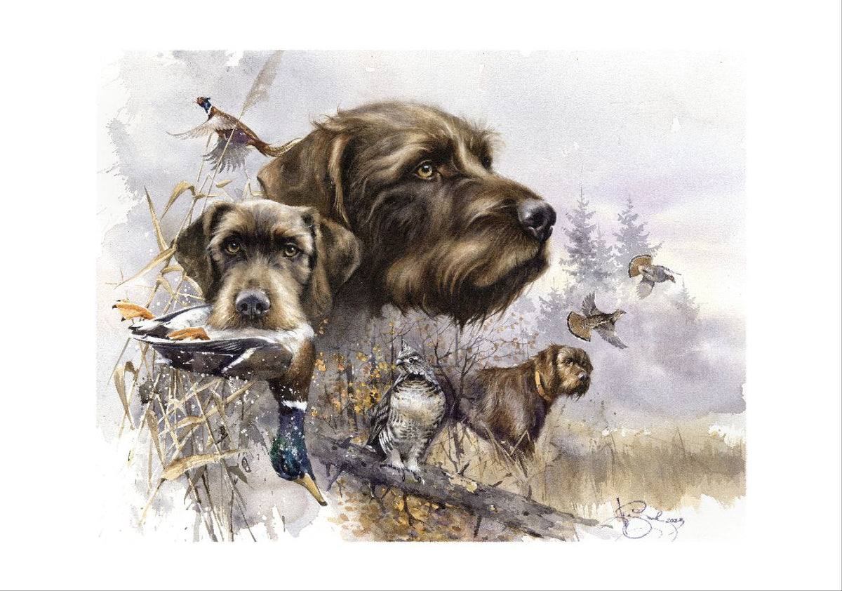 Author's print “Pudelpointer”, animal art, art print for sale ...