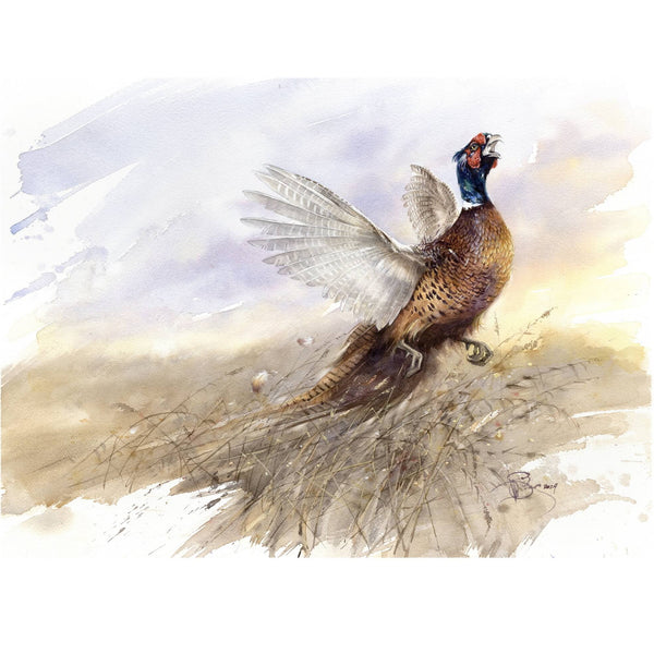 "Pheasant. Lord of the Lands"