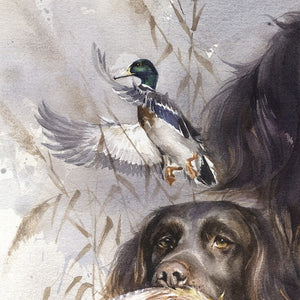 "Munsterlander Bird Dog" author's signed print