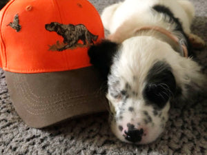 Hunter's cap "English Setter" orange-brown