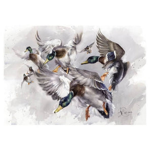 "Duck flight" author's signed print