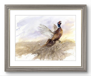 "Pheasant. Lord of the Lands"