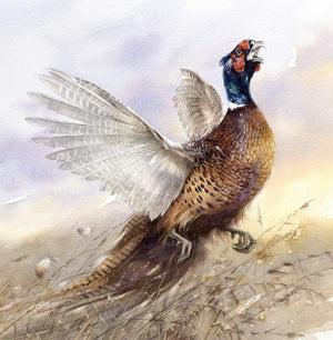 "Pheasant. Lord of the Lands"