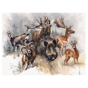 "Wildlife Harmony " Limited Edition Signed Print