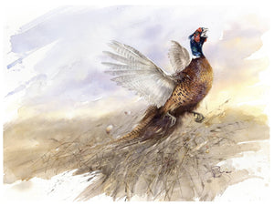 "Pheasant. Lord of the Lands"