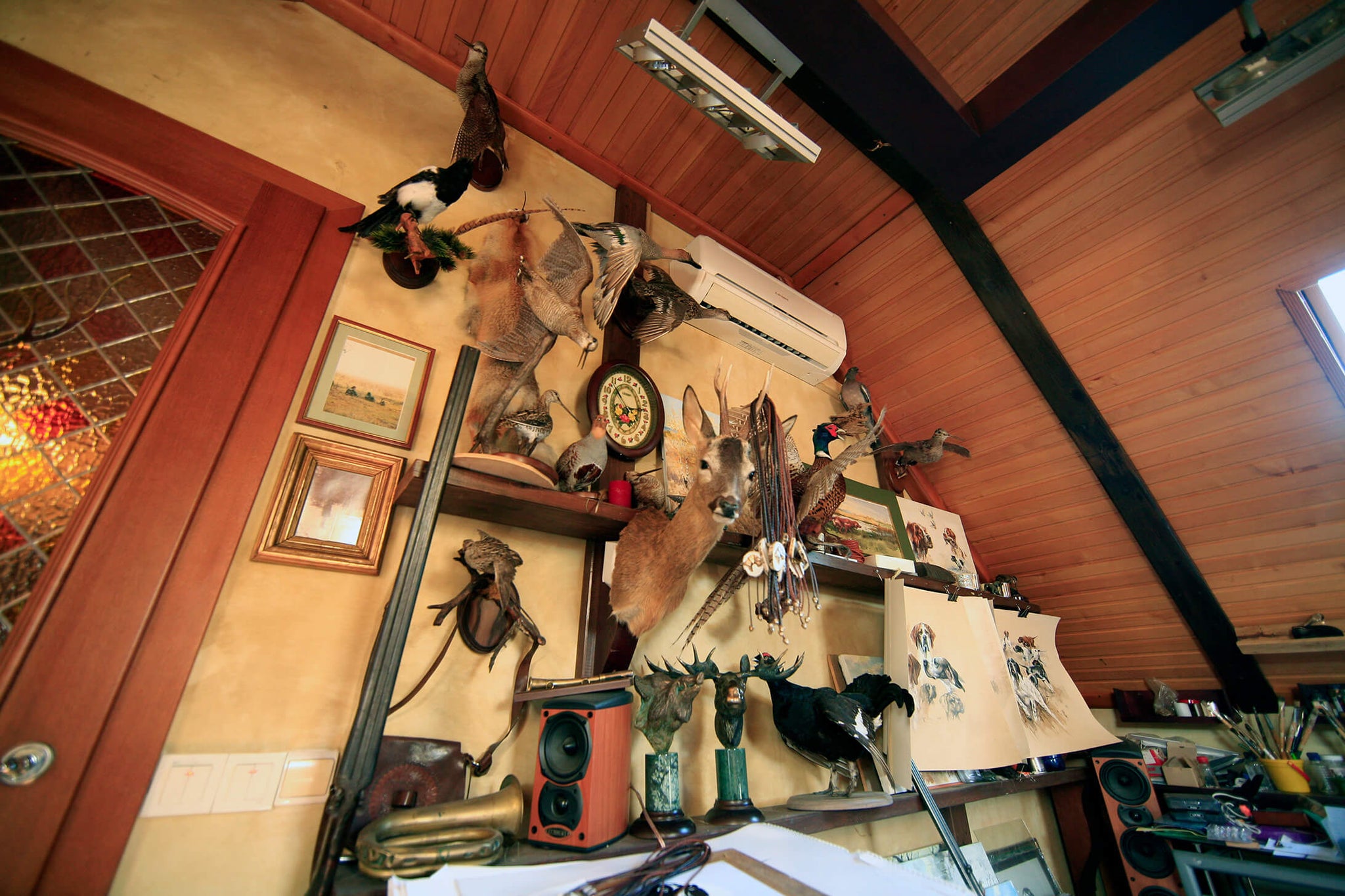 Valery Siurha Art studio - house