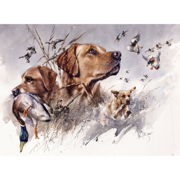 "Waterfowl Guardian" author's signed giclee