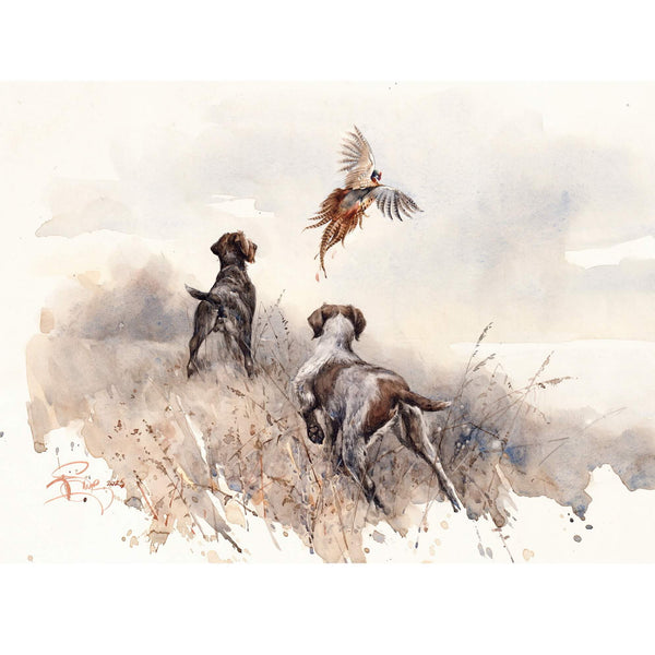 "On the Wings. Deutsch Drahthaar"