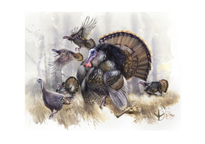 "Wild Turkey" Author's signed print