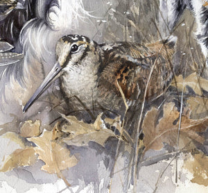 "Woodcock hunting" author's signed print