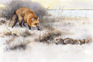 "Fox and Partridges. The Silent Hunt"