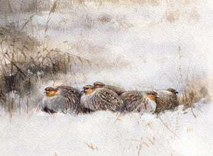"Fox and Partridges. The Silent Hunt"