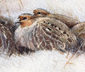 "Fox and Partridges. The Silent Hunt"