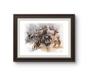 "Wildlife Harmony " Limited Edition Signed Print