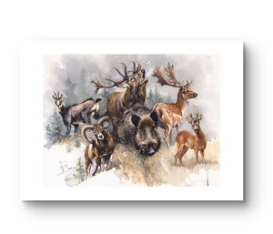 "Wildlife Harmony " Limited Edition Signed Print