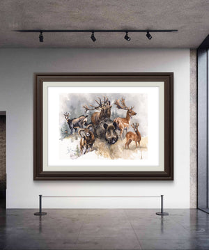 "Wildlife Harmony " Limited Edition Signed Print