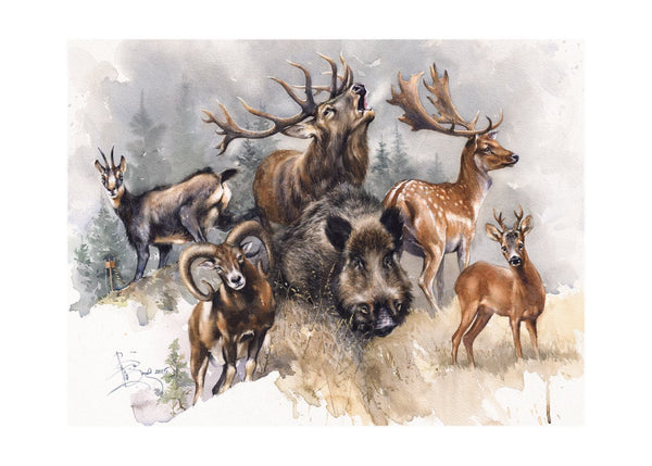 "Wildlife Harmony " Limited Edition Signed Print